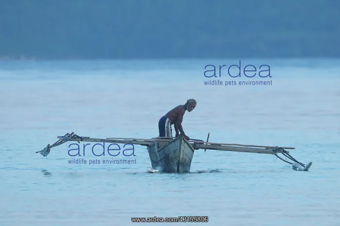 : Papua man in traditional fishing boat with outriggers : Papua man in traditional fishing boat with outriggers