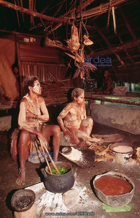 : PAPUA NEW GUINEA - Karawari River, women preparing : PAPUA NEW GUINEA - Karawari River, women preparing
