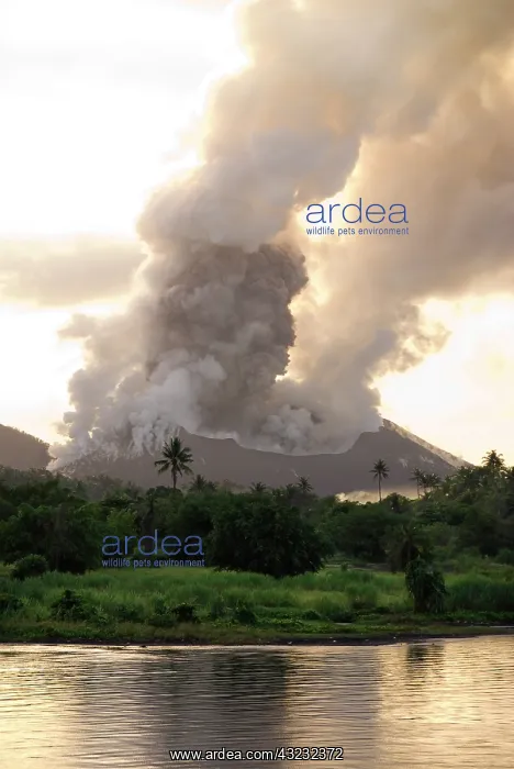 : Papua New Guinea, New Britain Island, Rabaul : Papua New Guinea, New Britain Island, Rabaul