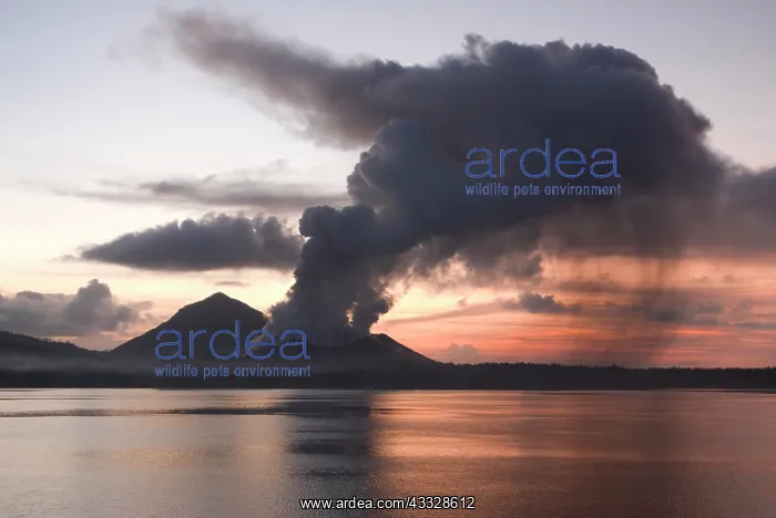 : Papua New Guinea, New Britain Island, Rabaul : Papua New Guinea, New Britain Island, Rabaul