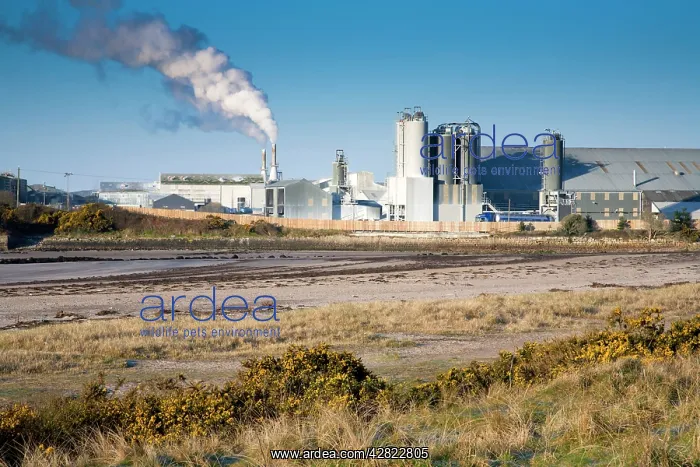  : Par Beach - China Clay Works