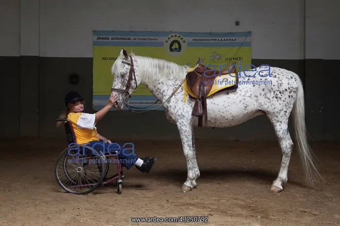 : Paraplegic woman and horse in a horse therapy center : Paraplegic woman and horse in a horse therapy center