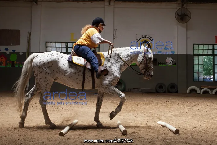 : Paraplegic woman on horse in a horse therapy center : Paraplegic woman on horse in a horse therapy center