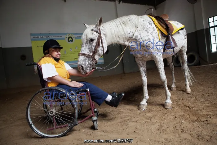 : Paraplegic woman and horse in a horse therapy center : Paraplegic woman and horse in a horse therapy center