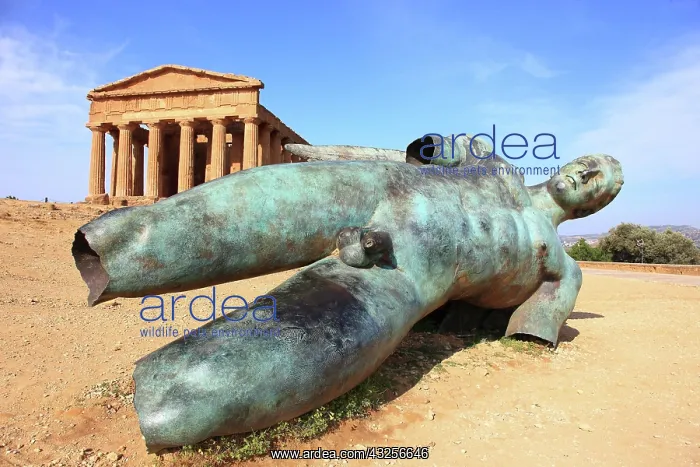 : In the Parco Valle dei Templi di Agrigento, Unesco : In the Parco Valle dei Templi di Agrigento, Unesco