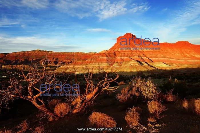 : Pariah Canyon, Kanab, Utah, USA, North America : Pariah Canyon, Kanab, Utah, USA, North America