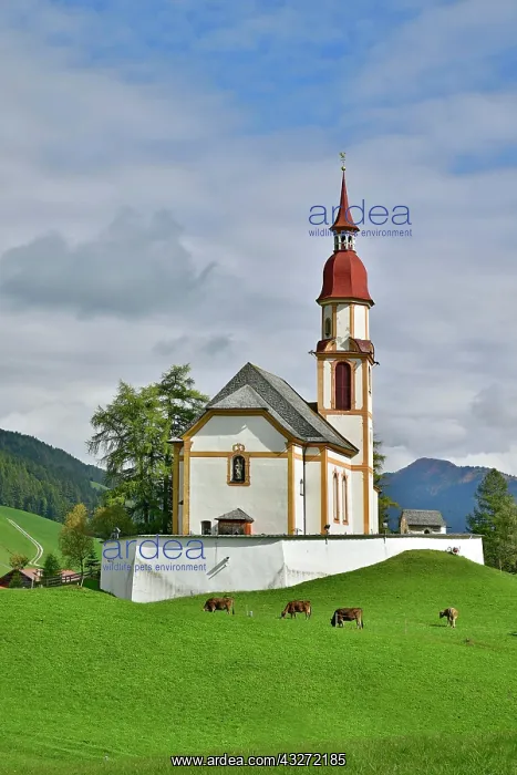 : Parish church Obernberg zum Hl. St. Nikolaus, Obernberg : Parish church Obernberg zum Hl. St. Nikolaus, Obernberg