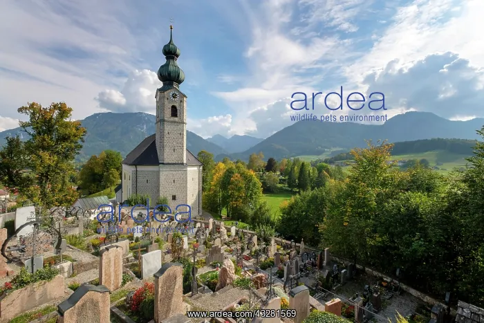 : Parish church St. Georg with cemetery, in front : Parish church St. Georg with cemetery, in front