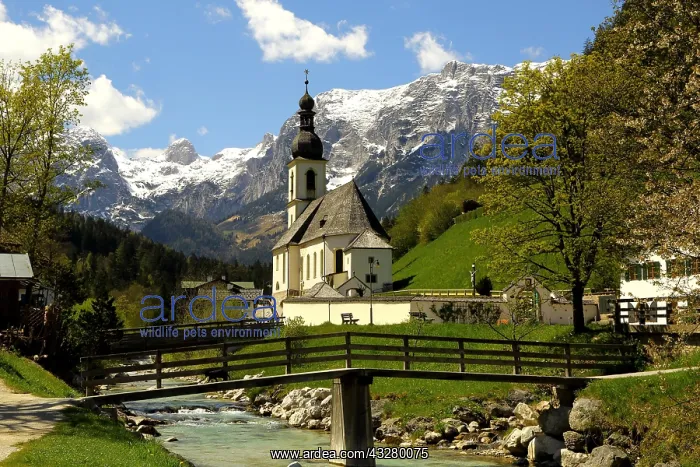 : Parish church St. Sebastian in spring with Ramsauer : Parish church St. Sebastian in spring with Ramsauer