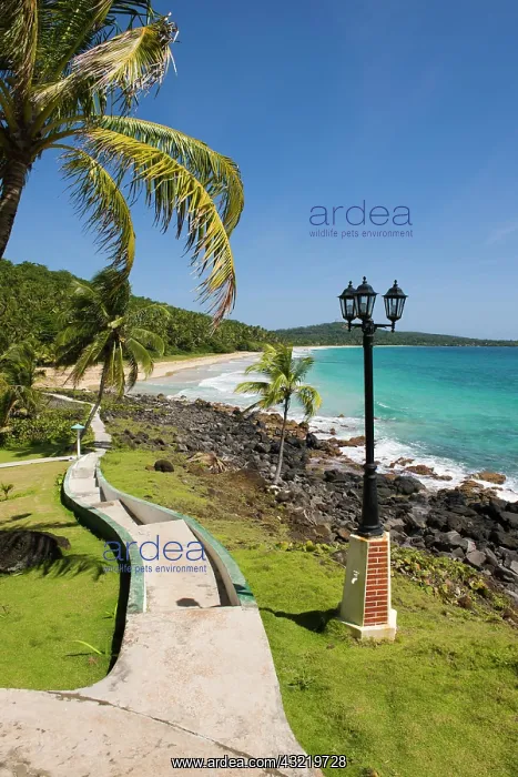 : Park, Big Corn Island, Caribbean Sea, Nicaragua : Park, Big Corn Island, Caribbean Sea, Nicaragua
