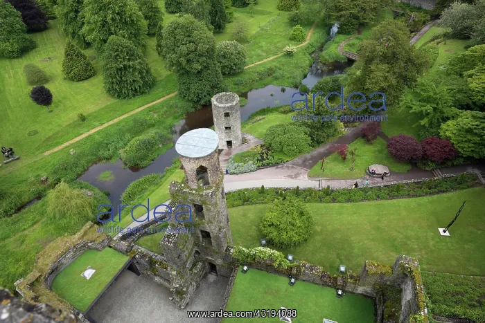 : Keep and park of Blarney Castle, County Cork, Ireland : Keep and park of Blarney Castle, County Cork, Ireland