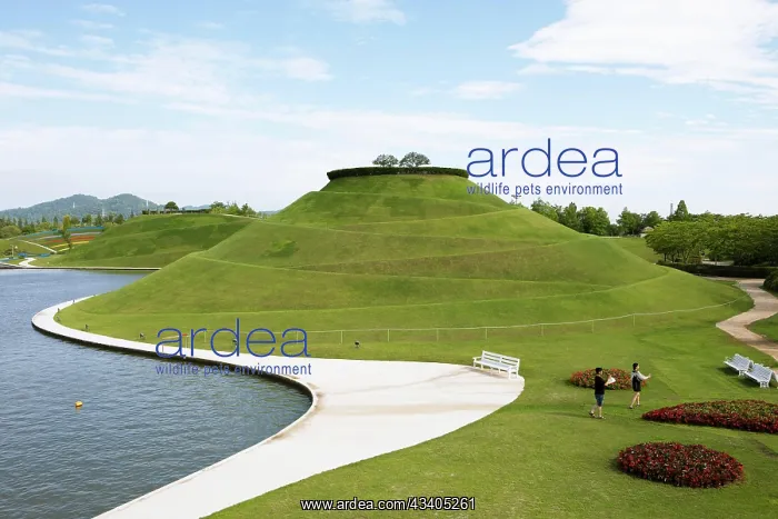 : Park, Lake, Suncheon National Garden, Expo 2023 : Park, Lake, Suncheon National Garden, Expo 2023