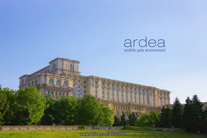 : Parliament Palace, Bucharest, Romania : Parliament Palace, Bucharest, Romania