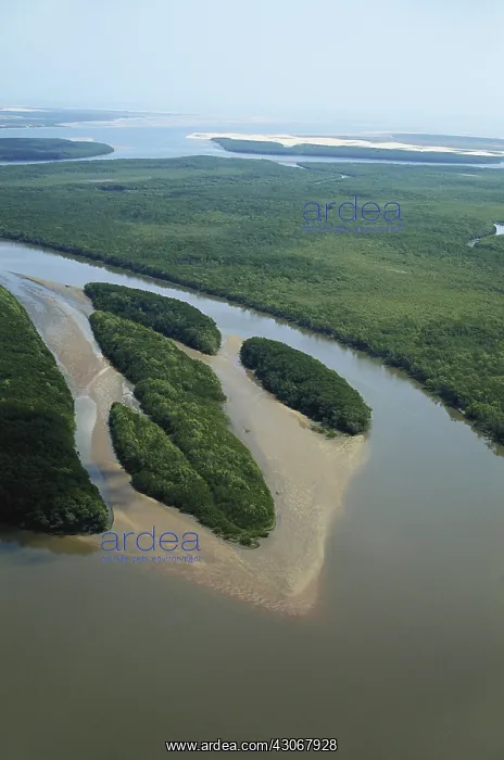 : Parnaiba River Delta, Brazil : Parnaiba River Delta, Brazil