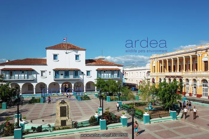 : Parque Cespedes with the town hall on the left and : Parque Cespedes with the town hall on the left and
