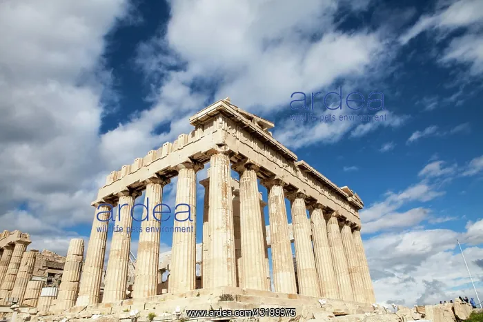 : Parthenon temple, Acropolis, Athens, Greece, , Europe : Parthenon temple, Acropolis, Athens, Greece, , Europe