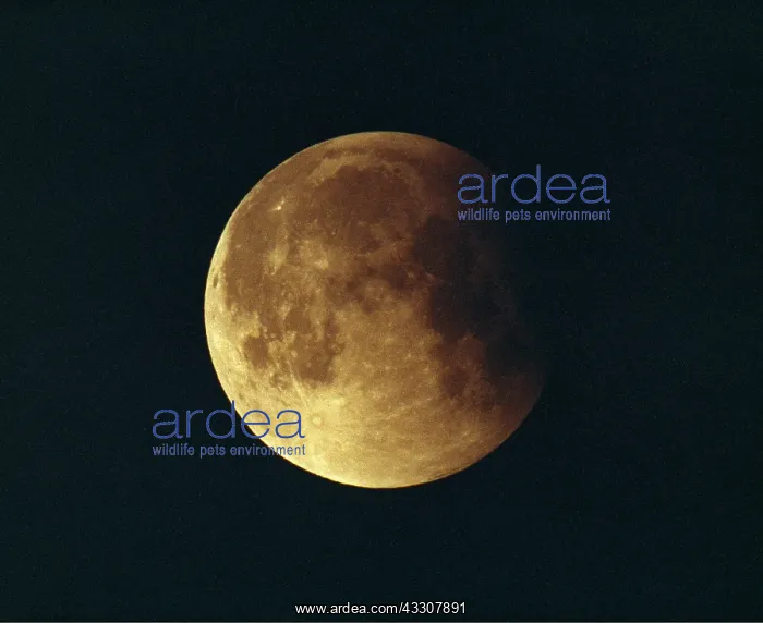 : Partial lunar eclipse of the moon - 15 June 1992 : Partial lunar eclipse of the moon - 15 June 1992