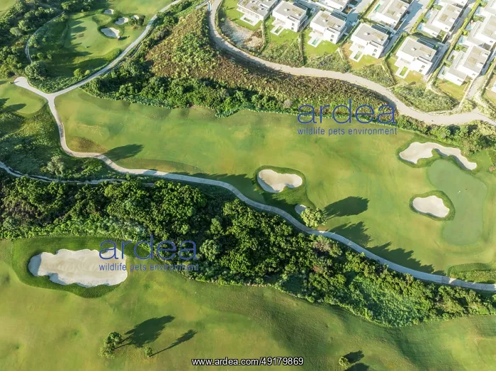 : Partial view of the La Hacienda Links Golf Resort and the Fairmont La Hacienda hotel : Partial view of the La Hacienda Links Golf Resort and the Fairmont La Hacienda hotel
