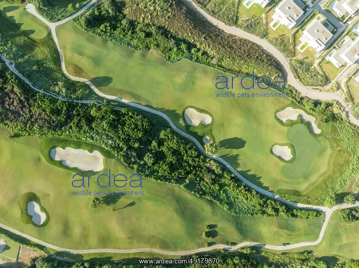 : Partial view of the La Hacienda Links Golf Resort and the Fairmont La Hacienda hotel : Partial view of the La Hacienda Links Golf Resort and the Fairmont La Hacienda hotel