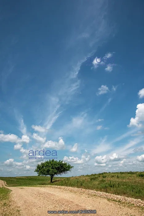 : Partly cloudy day in the Flint Hills of Kansas : Partly cloudy day in the Flint Hills of Kansas