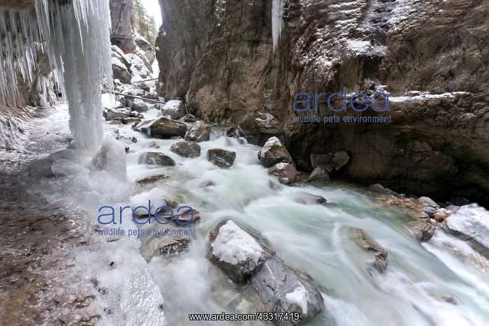 : Partnach Gorge with icicles in winter, Garmisch-Partenkirche : Partnach Gorge with icicles in winter, Garmisch-Partenkirche