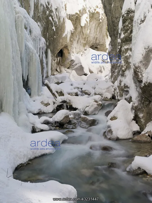: Partnachklamm (gorge of creek Partnach) : Partnachklamm (gorge of creek Partnach)