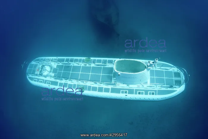 : Passanger Submarine - passes the Carthaginian Wreck : Passanger Submarine - passes the Carthaginian Wreck