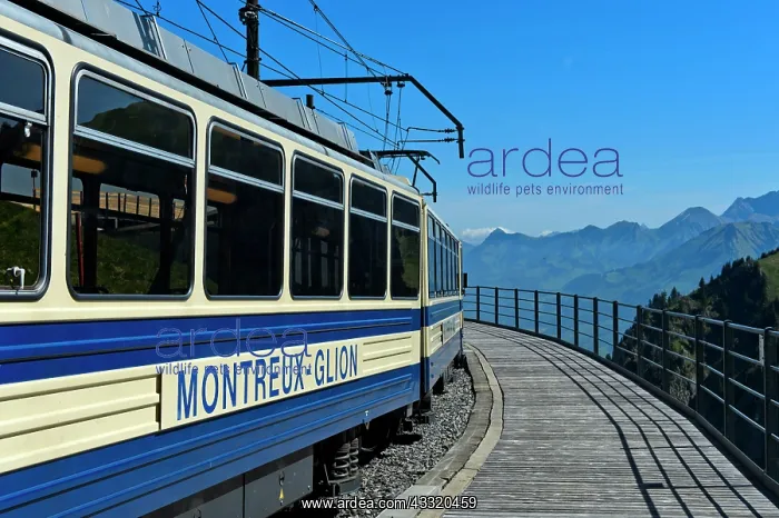 : Passenger carriage of the Montreux-Glion-Les-Rochers-de-Naye : Passenger carriage of the Montreux-Glion-Les-Rochers-de-Naye