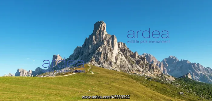 : Passo di Giau, Giau Pass, at the back peaks of La : Passo di Giau, Giau Pass, at the back peaks of La