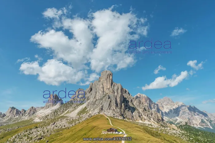 : Passo di Giau, Giau Pass, at the back peaks of La : Passo di Giau, Giau Pass, at the back peaks of La