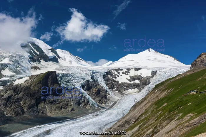 : Pasterze Glacier, Grossglockner, Hohe Tauern National : Pasterze Glacier, Grossglockner, Hohe Tauern National