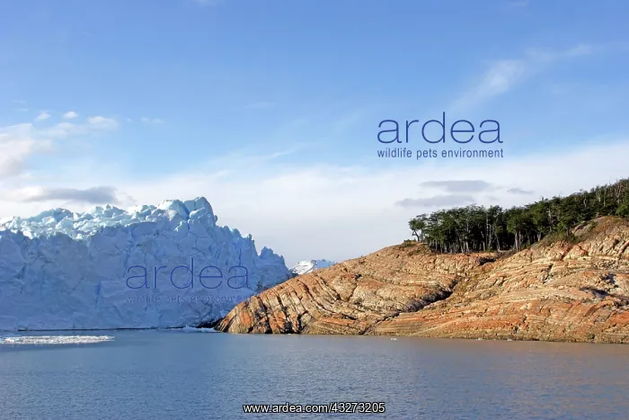 : Patagonia Argentina.Brazo Rico lake and : Patagonia Argentina.Brazo Rico lake and