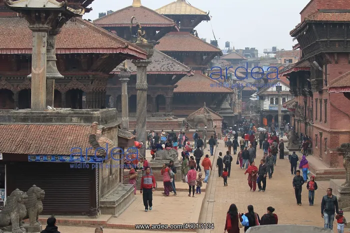  : Patan Durbar Square, Nepal