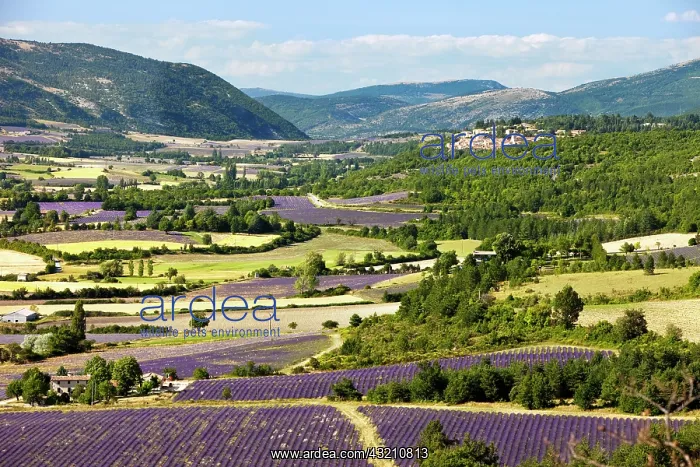 : Patchwork of Farmer's fields in valley below : Patchwork of Farmer's fields in valley below