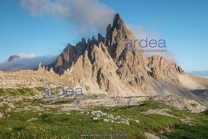 : Paternkofel with rising clouds, Sexten Dolomites : Paternkofel with rising clouds, Sexten Dolomites