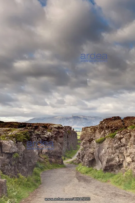 : Path along fault line, Thingvellir National : Path along fault line, Thingvellir National
