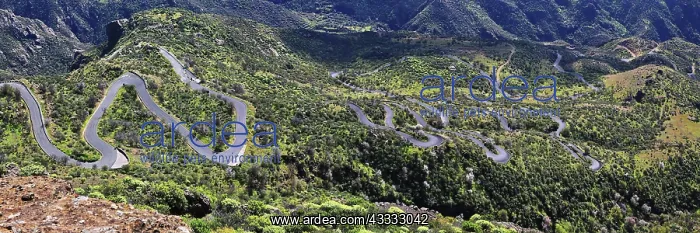 : The path to Roque Bentayga on the island of Gran : The path to Roque Bentayga on the island of Gran