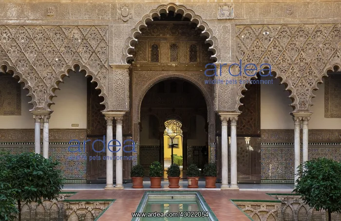 : The Patio de las Doncellas (Courtyard of the Maidens) : The Patio de las Doncellas (Courtyard of the Maidens)