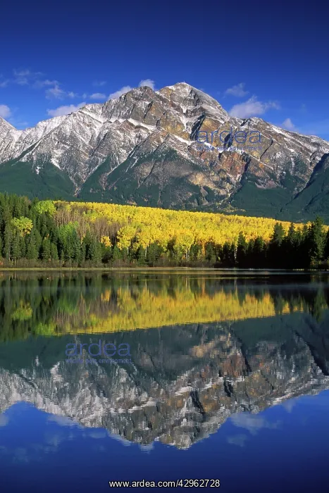 : Patricia Lake and Pyramid Mountain : Patricia Lake and Pyramid Mountain