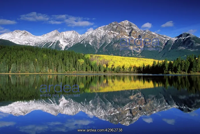 : Patricia Lake and Pyramid Mountain : Patricia Lake and Pyramid Mountain