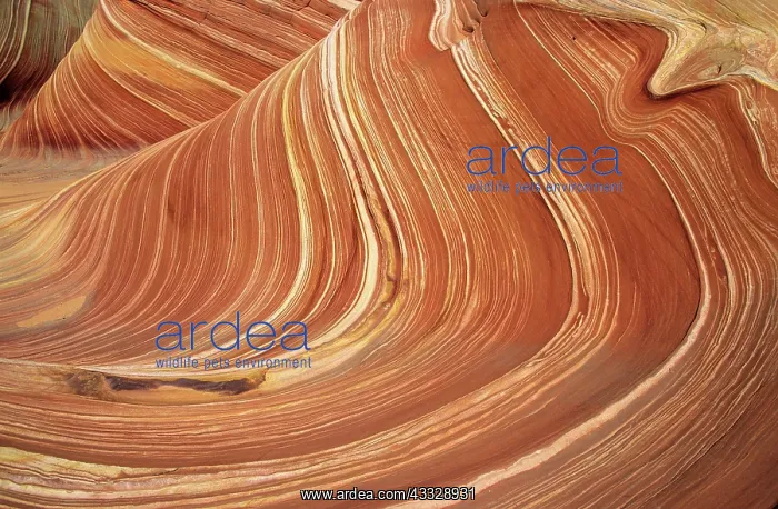 : Pattern of lines in rock in Paria Canyon : Pattern of lines in rock in Paria Canyon
