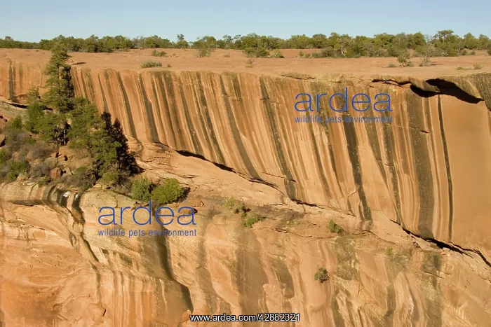 : Pattern at the rim of a sandstone rock wall in : Pattern at the rim of a sandstone rock wall in