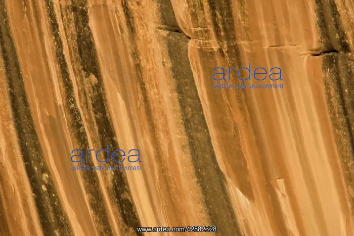 : Pattern in a sandstone rock wall in the Canyon de Chelly : Pattern in a sandstone rock wall in the Canyon de Chelly