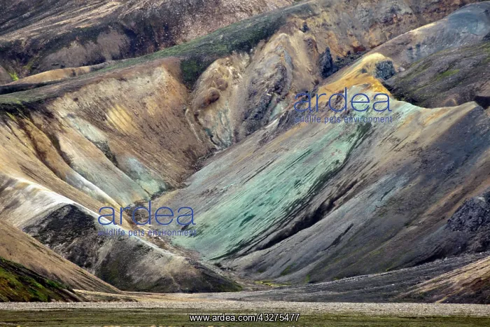 : Pattern in volcanic mountain slope, Iceland : Pattern in volcanic mountain slope, Iceland