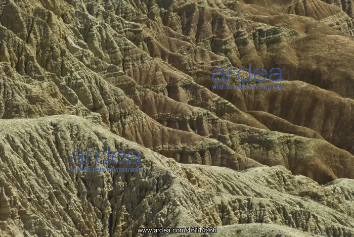 : Patterns in Borrego Badlands : Patterns in Borrego Badlands