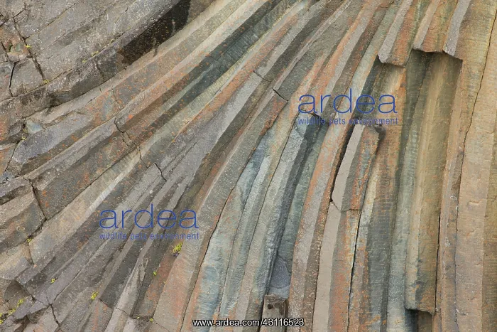 : Patterns created from basalt columns in rock face : Patterns created from basalt columns in rock face