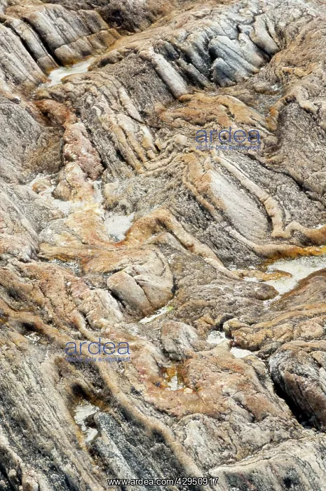 : Patterns in rock - Gneiss - Volcanic Rock : Patterns in rock - Gneiss - Volcanic Rock