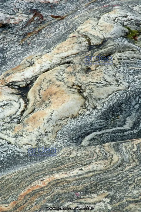 : Patterns in rocks - Gneiss - Volcanic rock : Patterns in rocks - Gneiss - Volcanic rock