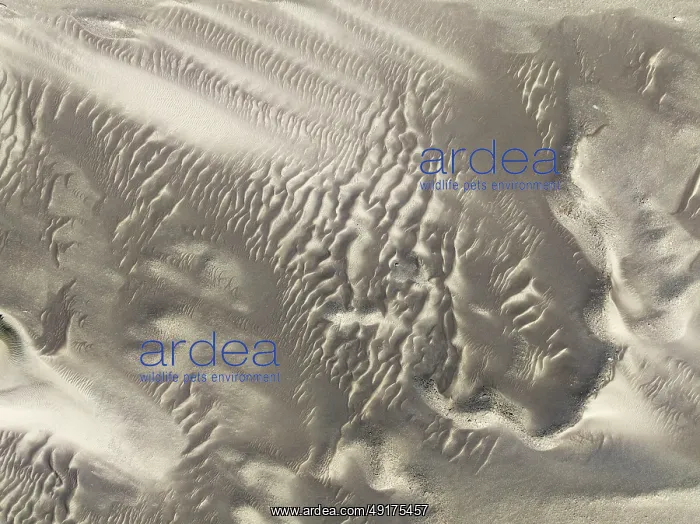 : Patterns in the sand of the Namib Desert : Patterns in the sand of the Namib Desert