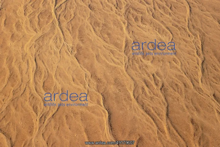  : Patterns in the sand of the Namib Desert. Namibia